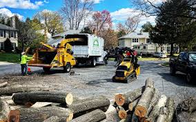 Seasonal Cleanup (Spring/Fall) in Marysville, OH